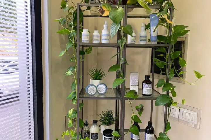 Scaffale con piante rampicanti e prodotti Davines